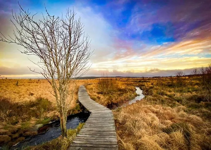 Les Mélèzes à Stavelot, 4-5 Personnes Hébergement de vacances Stavelot